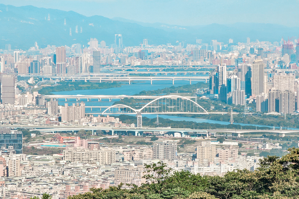 樹林芒花景點三角埔山頂