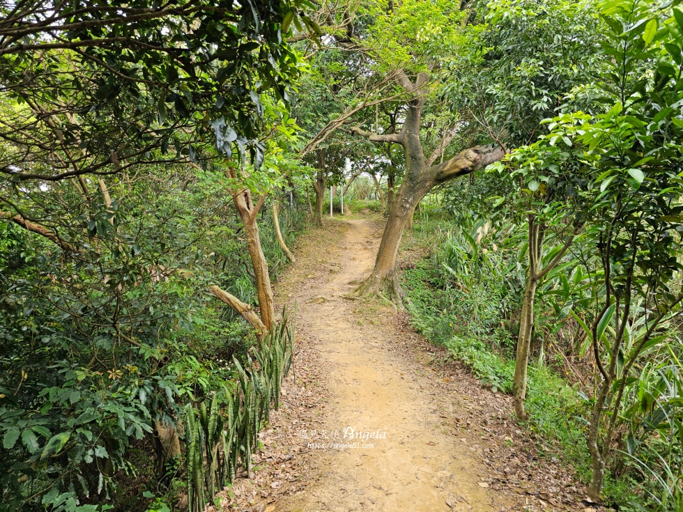 福源山步道
