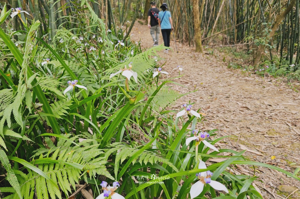 福源山步道