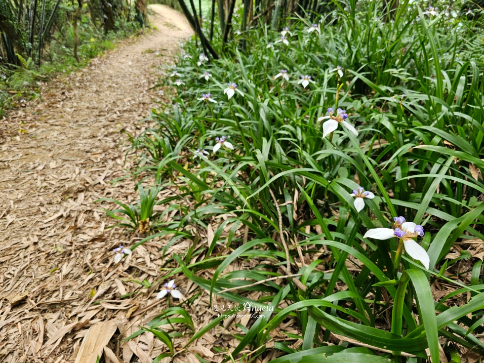 福源山步道