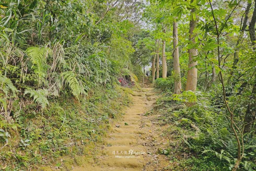 福源山步道