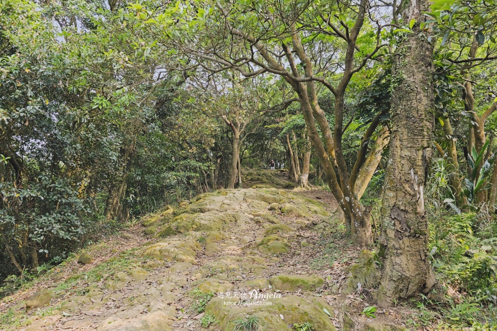 福源山步道