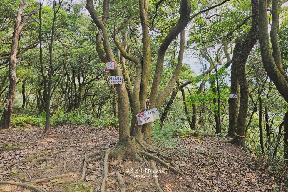 福源山