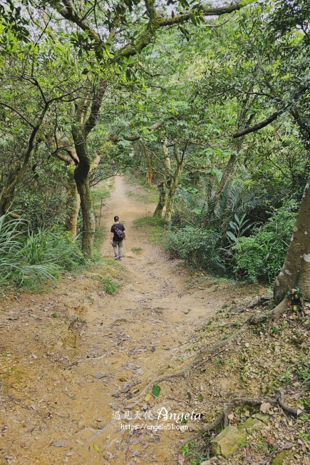 福源山步道