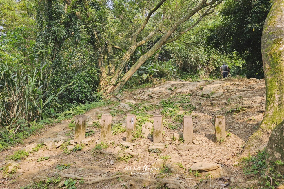 福源山步道