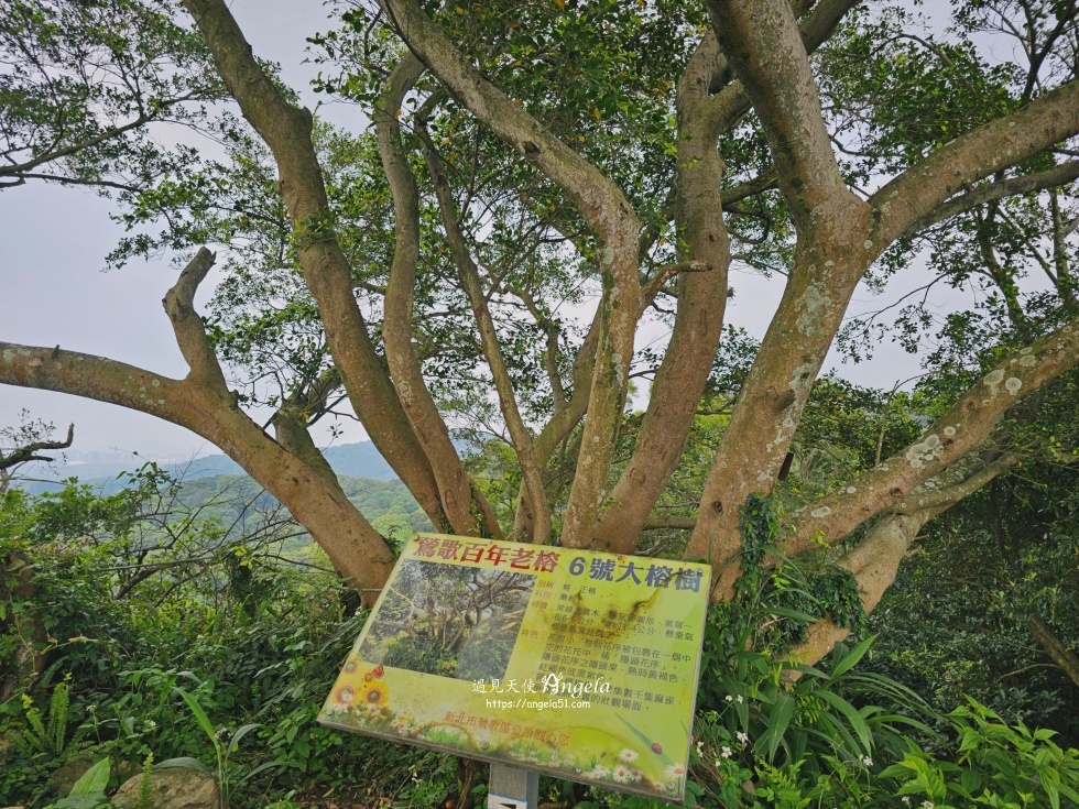 福源山步道