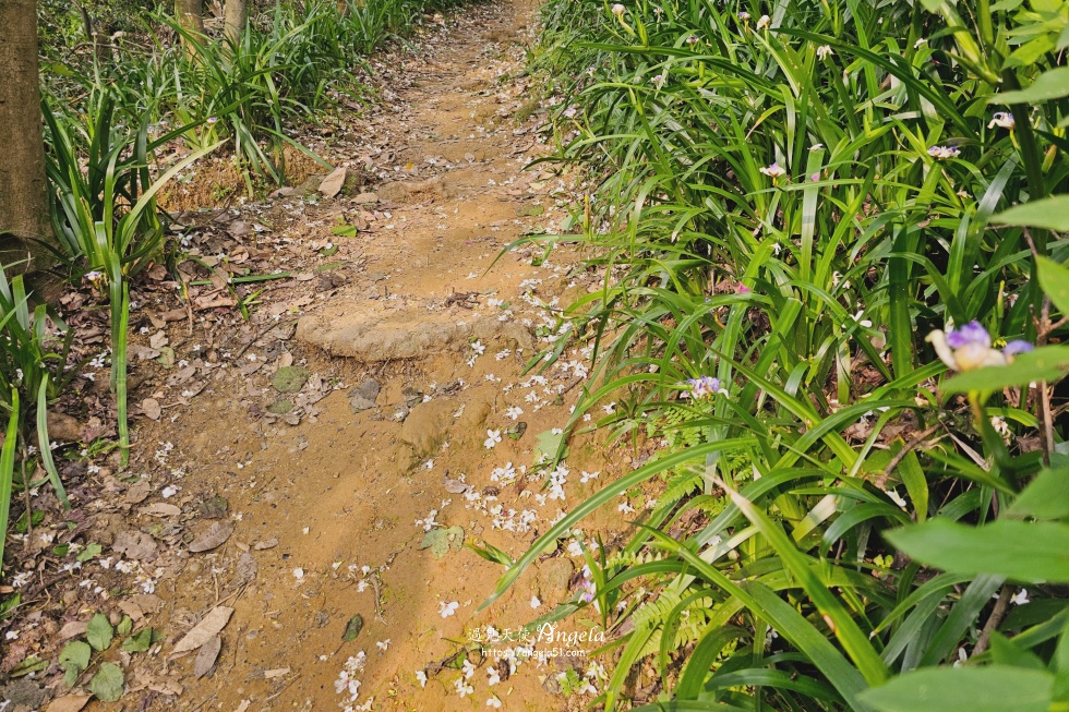 福源山步道賞花步道