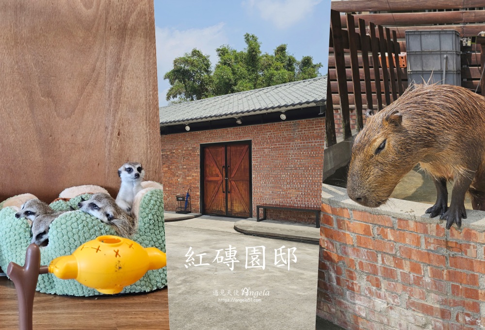 紅磚園邸樹林老宅餐廳親子友善