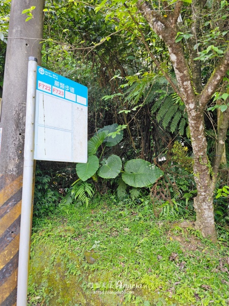 金瓜寮魚蕨步道