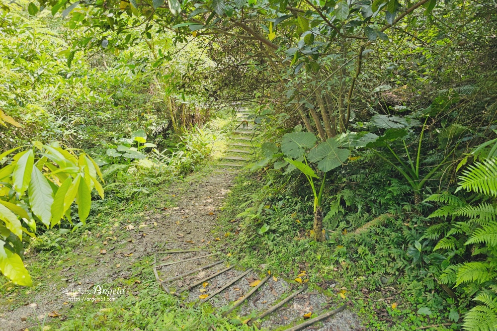 金瓜寮魚蕨步道