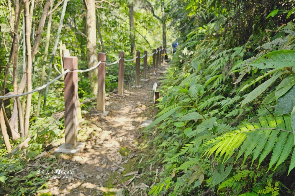 金瓜寮魚蕨步道