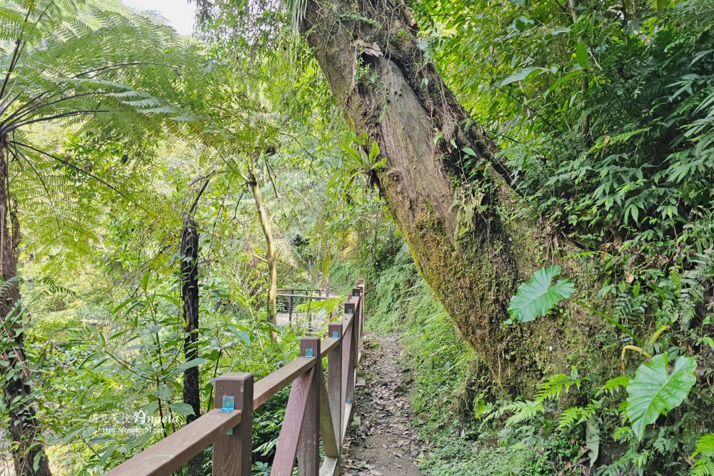 金瓜寮魚蕨步道