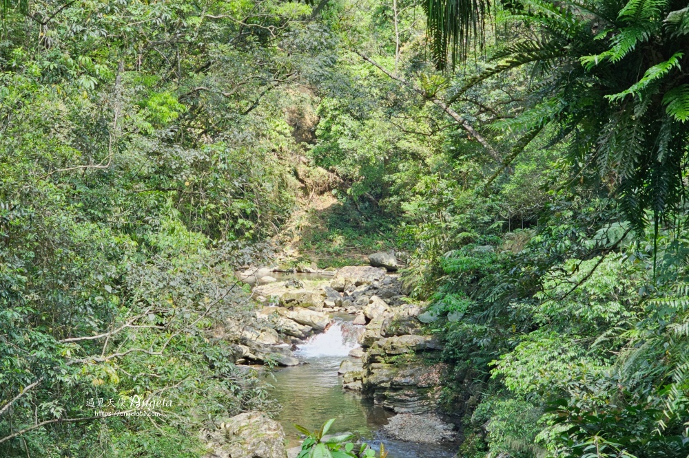 金瓜寮魚蕨步道