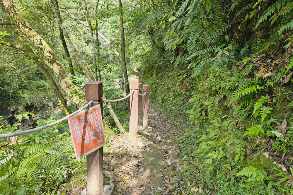 金瓜寮魚蕨步道
