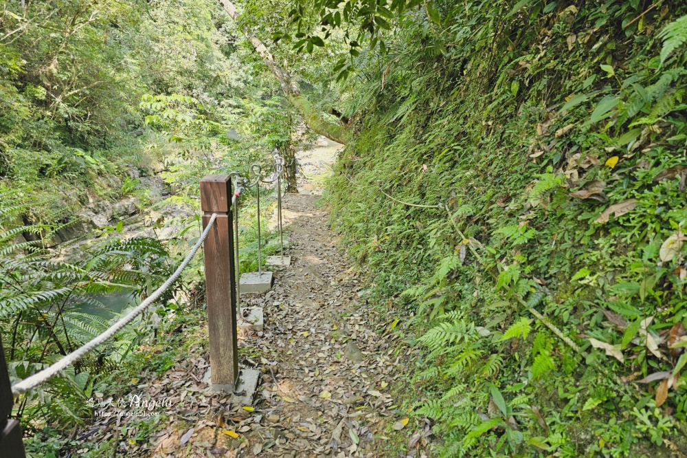 金瓜寮魚蕨步道