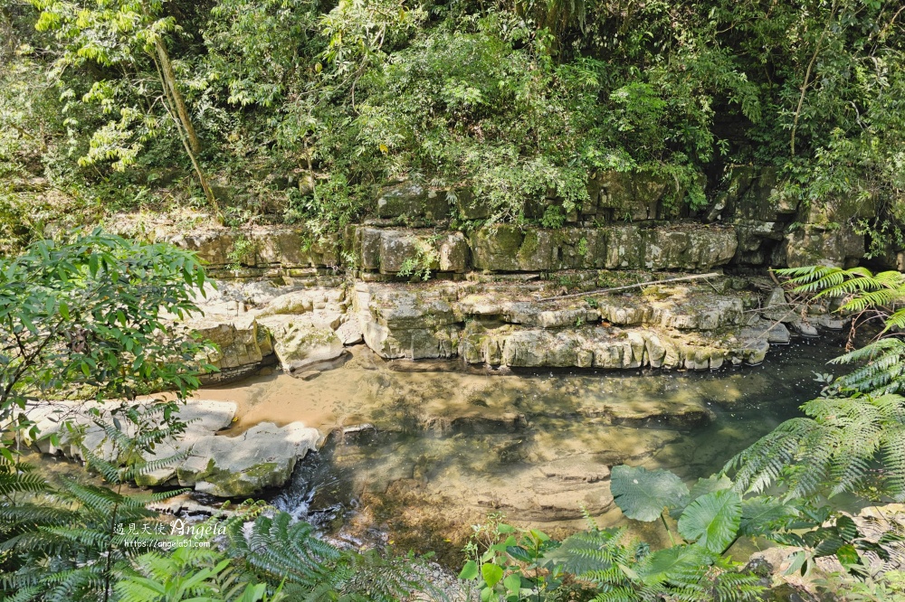 金瓜寮魚蕨步道