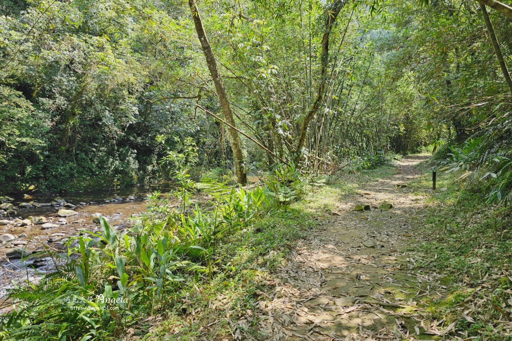 金瓜寮魚蕨步道