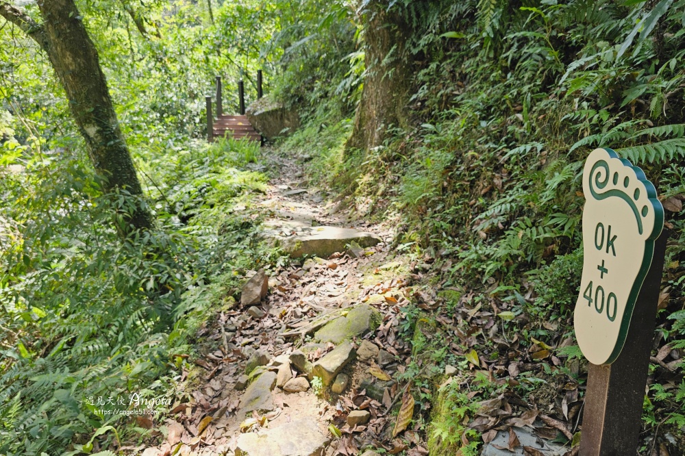金瓜寮魚蕨步道