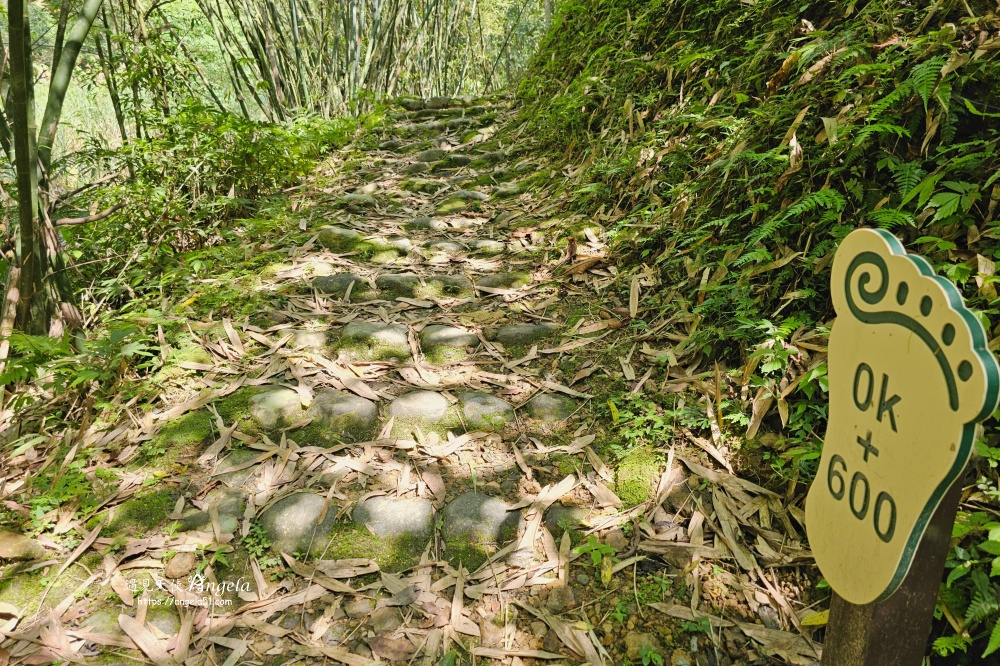 金瓜寮魚蕨步道