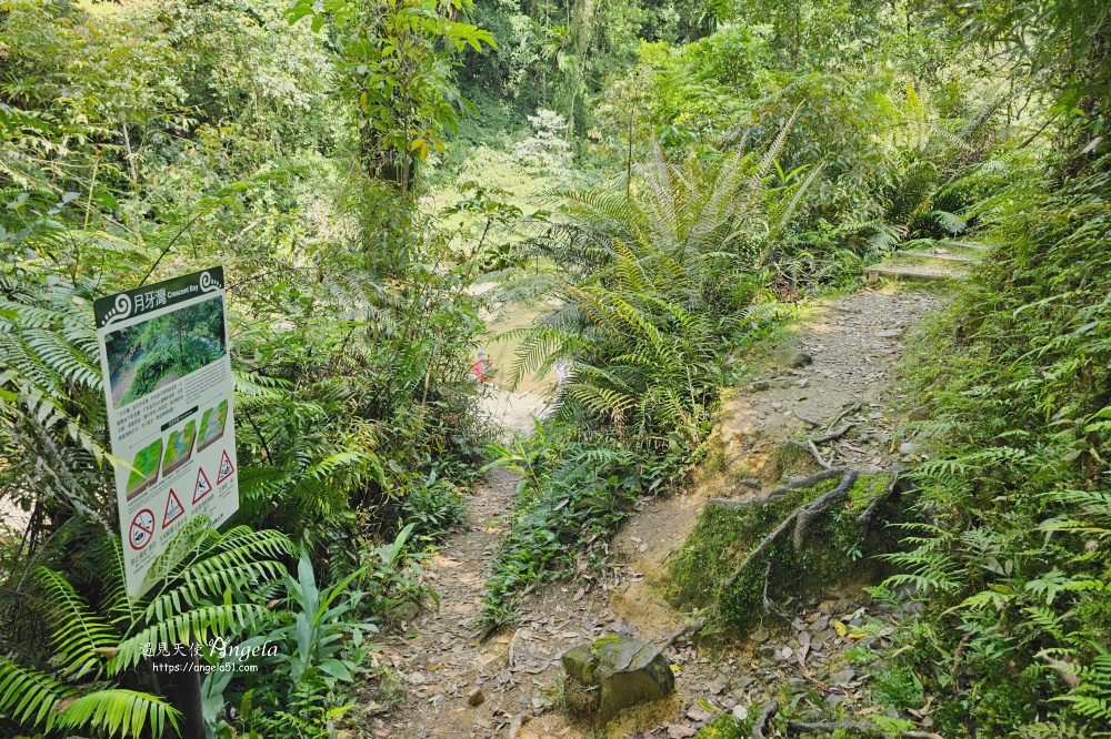 金瓜寮魚蕨步道