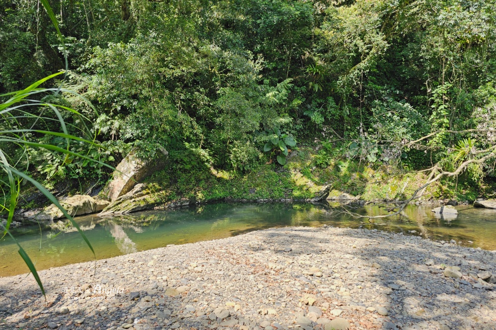 金瓜寮魚蕨步道