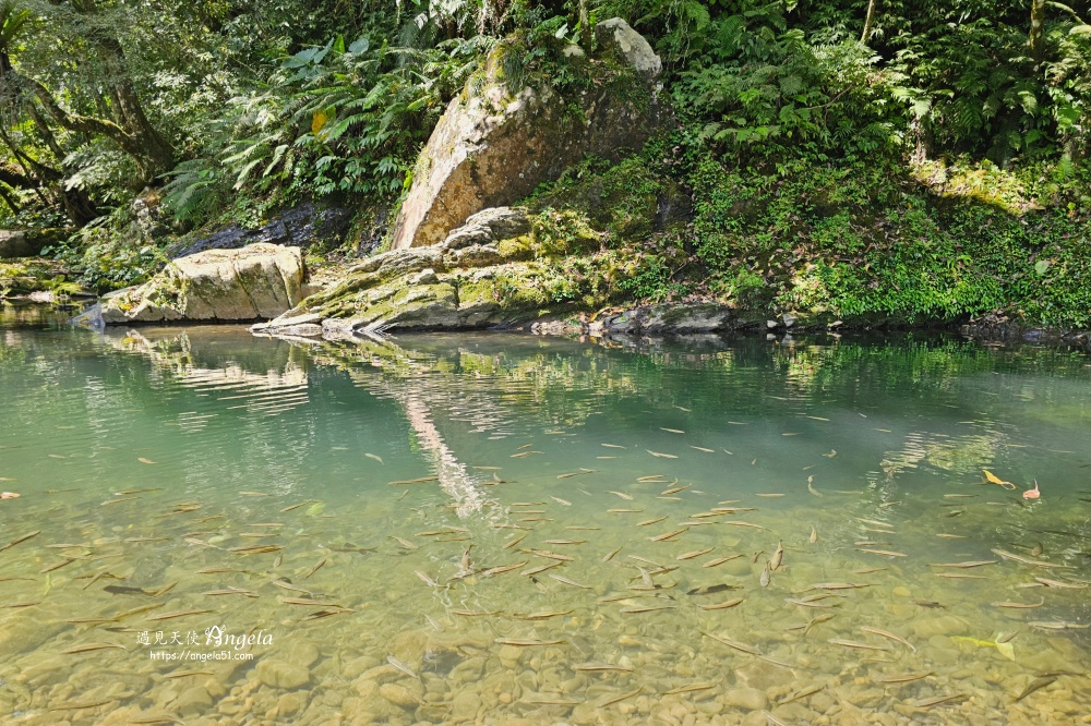 金瓜寮魚蕨步道