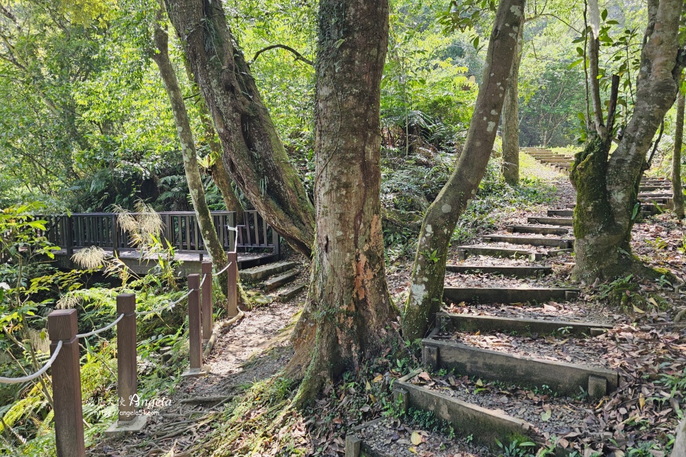 金瓜寮魚蕨步道