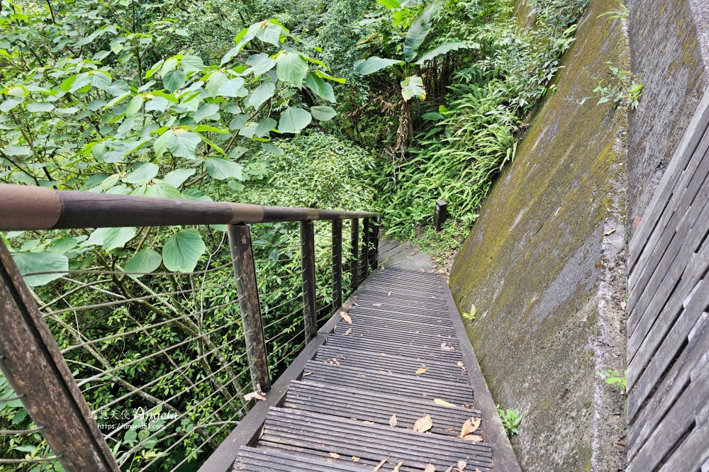 金瓜寮魚蕨步道