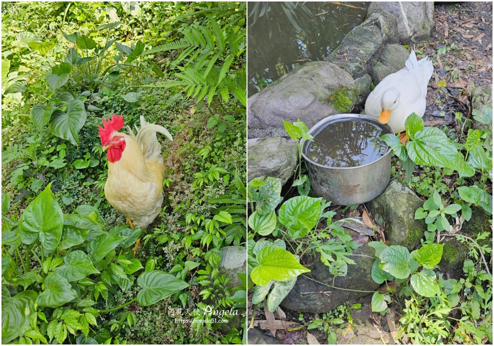芳裕農場