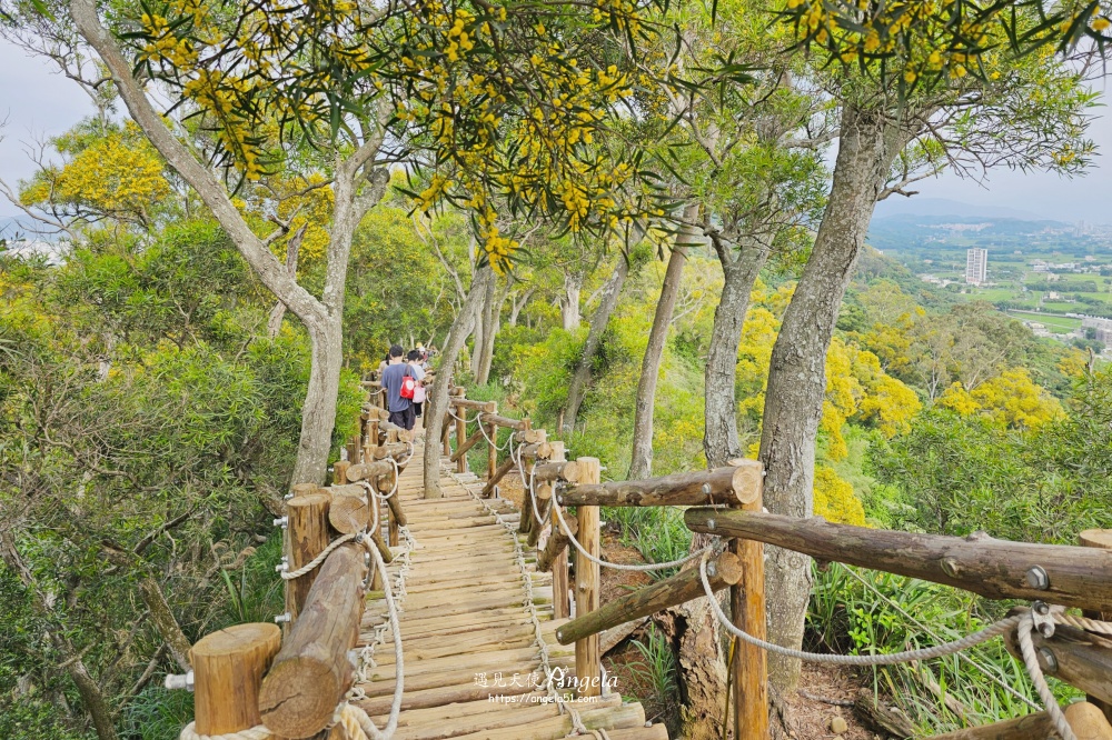 梨山頭文山步道